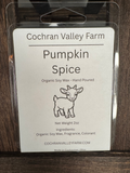 Pumpkin spice organic soy wax melt